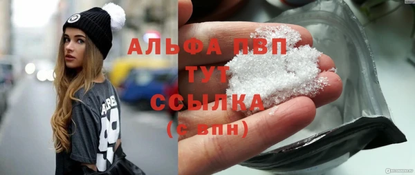PSILOCYBIN Абаза